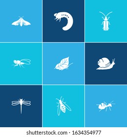 Beetle icon set and snail with firefly, eyed hawk moth and leaf butterfly. Caterpillar related beetle icon vector for web UI logo design.