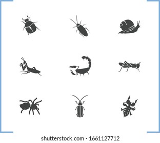 Beetle icon set and snail with tarantula, bug and leaf insect. Nature related beetle icon vector for web UI logo design.
