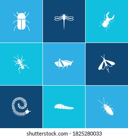 Beetle icon set and stag beetle with giant wood wasp, caterpillar and millipede. Damselfly related beetle icon vector for web UI logo design.
