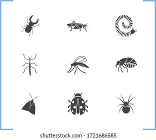 Stickbug Images, Stock Photos & Vectors | Shutterstock