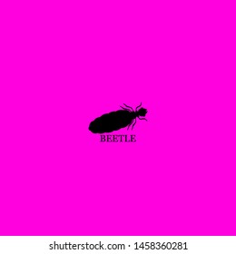 beetle icon sign signifier vector