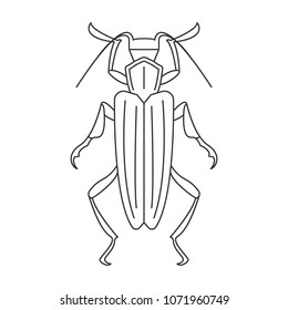 Beetle icon. Simple element illustration. Beetle symbol design from Insect collection set. Can be used in web and mobile on white background