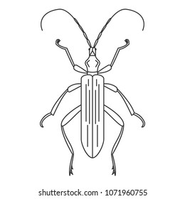 Beetle icon. Simple element illustration. Beetle symbol design from Insect collection set. Can be used in web and mobile on white background