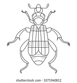 Beetle icon. Simple element illustration. Beetle symbol design from Insect collection set. Can be used in web and mobile on white background
