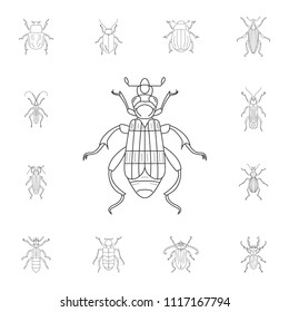 Beetle icon. Simple element illustration. Beetle symbol design from Insect collection set. Can be used for web and mobile on white background