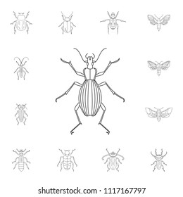 Beetle icon. Simple element illustration. Beetle symbol design from Insect collection set. Can be used for web and mobile on white background