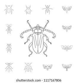 Beetle icon. Simple element illustration. Beetle symbol design from Insect collection set. Can be used for web and mobile on white background