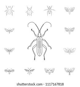 Beetle icon. Simple element illustration. Beetle symbol design from Insect collection set. Can be used for web and mobile on white background