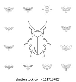 Beetle icon. Simple element illustration. Beetle symbol design from Insect collection set. Can be used for web and mobile on white background
