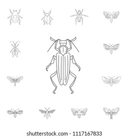 Beetle icon. Simple element illustration. Beetle symbol design from Insect collection set. Can be used for web and mobile on white background