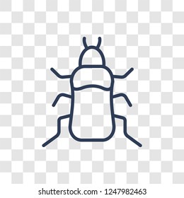 Beetle icon. Trendy linear Beetle logo concept on transparent background from animals  collection