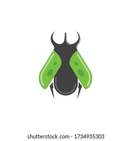 beetle icon vector illustration design template