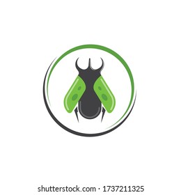 beetle icon vector illustration design template