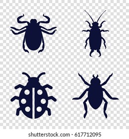 Beetle icons set. set of 4 beetle filled icons such as beetle