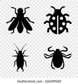 Beetle icons set. set of 4 beetle filled icons such as beetle, fly