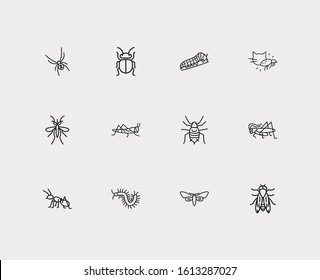 Beetle icons set. Beetle and beetle icons with butterfly, louse and locust. Set of cartoon for web app logo UI design.