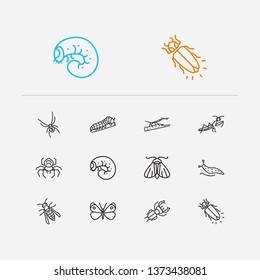 Beetle icons set. Cabbage butterfly and beetle icons with wasp, grub and firefly. Set of arachnophobia for web app logo UI design.