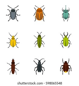 Beetle icons set. Flat illustration of 9 beetle vector icons for web