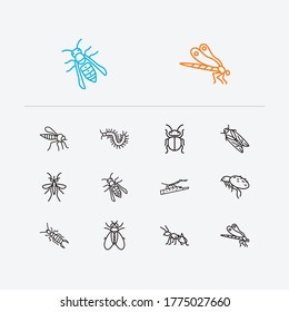 Iconos de escarabajo establecidos. Iconos de escarabajo y escarabajo con mosquito, peluca y cigarra. Conjunto de datos dañinos para el diseño de la interfaz de usuario del logotipo de la aplicación web.