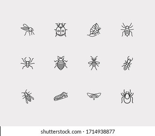 Beetle icons set. Termite and beetle icons with mosquito, aphid and wasp. Set of pernicious for web app logo UI design.