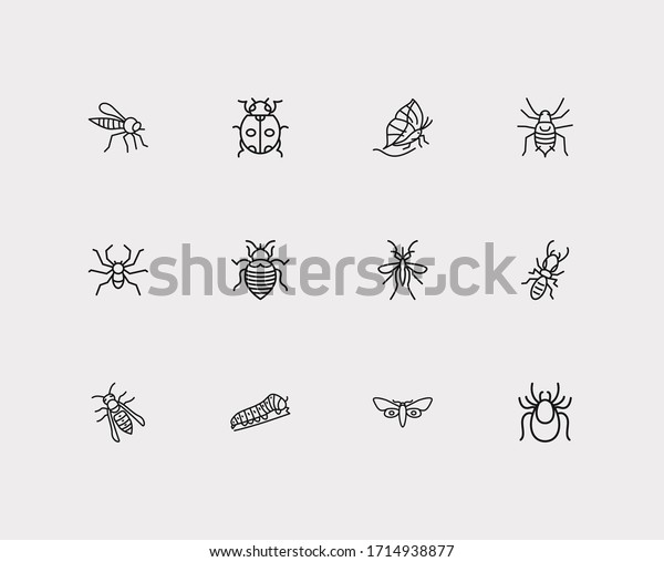 Beetle\
icons set. Termite and beetle icons with mosquito, aphid and wasp.\
Set of pernicious for web app logo UI\
design.