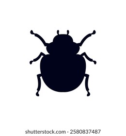 Beetle illustration bug insect vector