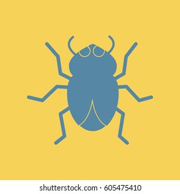 beetle insect