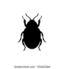 Beetle insect black silhouette animal. Vector Illustrator.