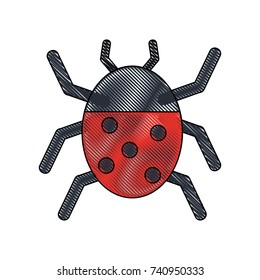 beetle insect or bug icon image