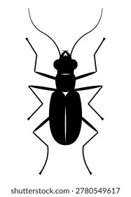 beetle, insect, bug, silhouette, glyph, icon, entomology, wildlife, animal, arthropod, antenna, nature, black, isolated, realistic, biology, zoology, creepy, exotic, tropical, forest, fauna, coleoptera, wing, shell, outline