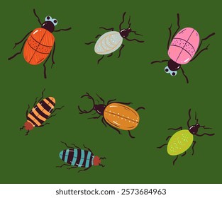 Beetle insect cute bug ladybug isolated set concept. Vector design graphic illustration