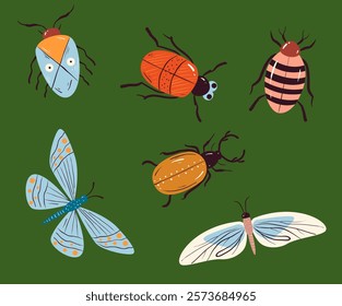 Beetle insect cute bug ladybug isolated set concept. Vector design graphic illustration