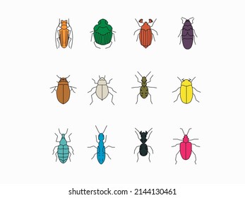 beetle insect flat vector icons bug collection 
