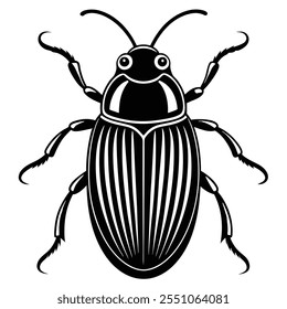 Beetle insect flat vector illustration on a white background