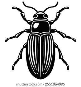 Beetle insect flat vector illustration on a white background