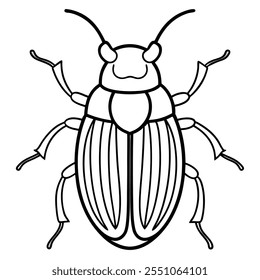 Beetle insect flat vector illustration on a white background