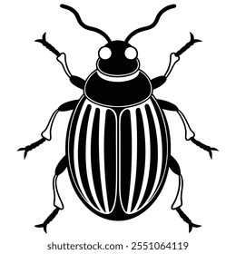 Beetle insect flat vector illustration on a white background