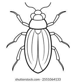 Beetle insect flat vector illustration on a white background