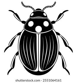 Beetle insect flat vector illustration on a white background