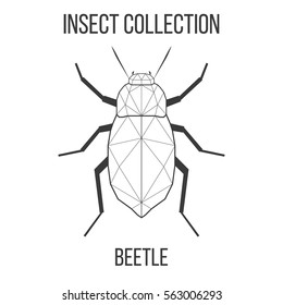 Beetle insect geometric lines silhouette isolated on white background vintage vector design element illustration