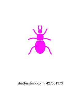 beetle, insect, icon