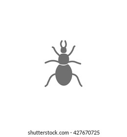 beetle, insect, icon