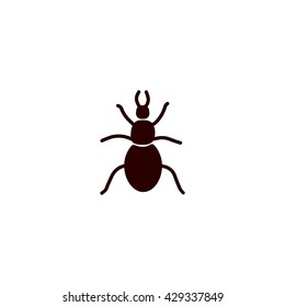 beetle, insect, icon