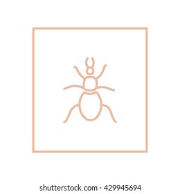 beetle, insect, icon