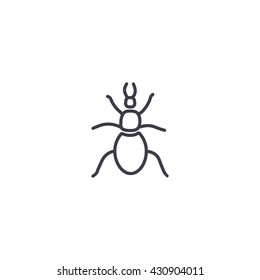 beetle, insect, icon
