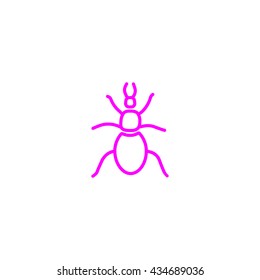 beetle, insect, icon