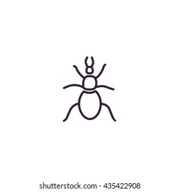 beetle, insect, icon