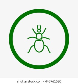 beetle, insect, icon