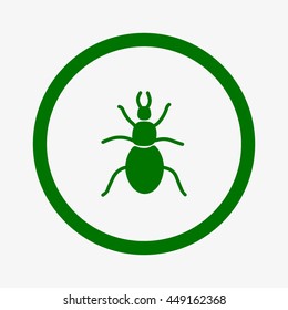beetle, insect, icon