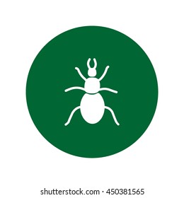 beetle, insect, icon